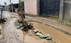 Kesal Lantaran 10 Tahun Tak Kunjung Diperbaiki, Warga Cihampelas KBB Tanam Pohon Pisang di Tengah Jalan Rusak