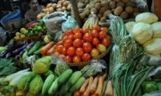 Harga Pupuk Naik, Disdagkoperin Kota Cimahi Sarankan Warga Tanam Sayuran di Rumah