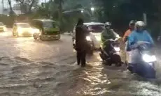 Hujan Deras Melanda Kota Bogor,  Dari Pohon Tumbang, Longsor Hingga Pengendara Terseret