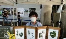 Mantap, Ahli Botani Jepang Jual Jamu Tradisional Indonesia