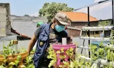 Selamat, Buruan Sae Program Unggulan Pemkot Bandung Buruan Raih Penghargaan di Rio de Janiero Brazil