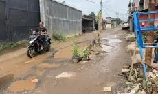 Warga Kesal Tanam Pohon Pisang di Cihampelas, Perbaikan Dijanjikan Pemda KBB pada 2023