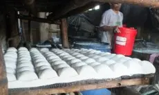 Kenaikan Kedelai Ganggu Konsumsi Harian, DKPP Pertimbangan Pemberian Subsidi Harga