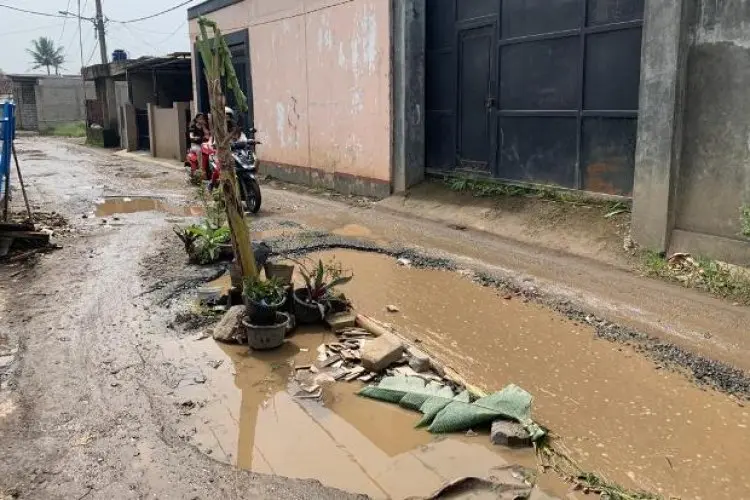 Kesal Lantaran 10 Tahun Tak Kunjung Diperbaiki, Warga Cihampelas KBB Tanam Pohon Pisang di Tengah Jalan Rusak