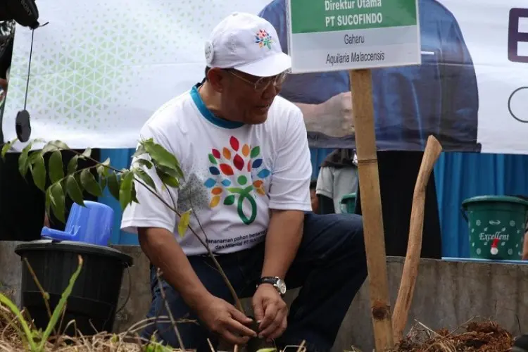 PT Sucofindo Tanam 1.066 Pohon di Zona Merah Bencana Alam