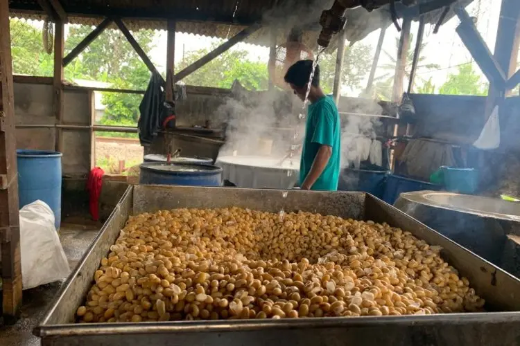 Perajin Tahu Tempe KBB Bakal Lakukan Ini Jika Harga Kedelai Tak Kunjung Turun 