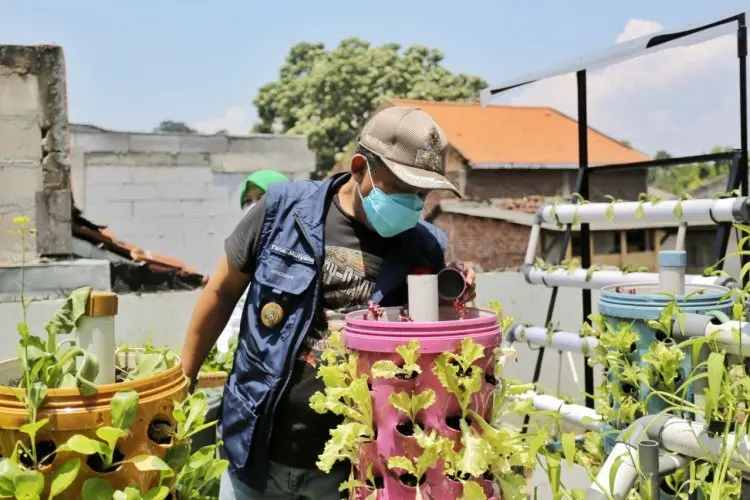 Selamat, Buruan Sae Program Unggulan Pemkot Bandung Buruan Raih Penghargaan di Rio de Janiero Brazil