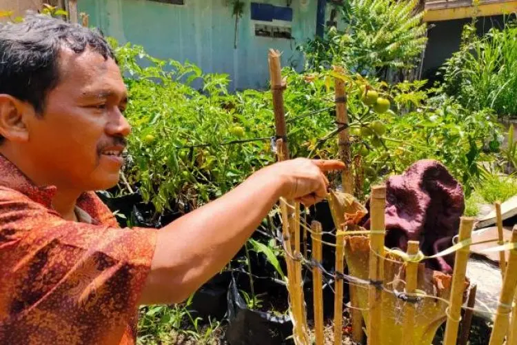 Sempat Disangka Pohon Pisang, Warga Padalarang Kaget Ternyata Bunga Bangkai
