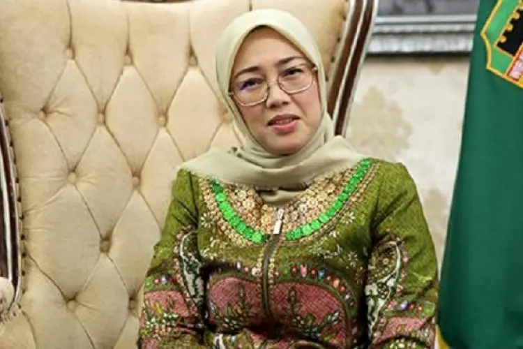 Soal Plat Nomor Mobilnya Tak Terdaftar, Ini Penjelasan Anne