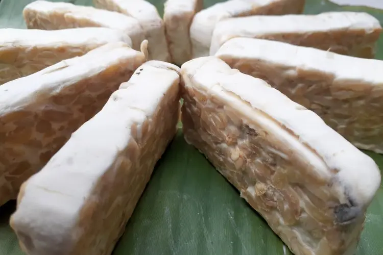 Nyesel Baru Tau! Tempe Mentah Ternyata Obat Maag Ampuh, dr. Zaidul Akbar Bagikan Cara Makannya yang Tepat