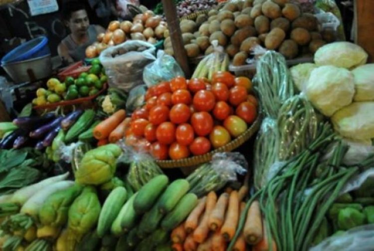 Harga Pupuk Naik, Disdagkoperin Kota Cimahi Sarankan Warga Tanam Sayuran di Rumah