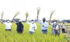 Hari Pangan Sedunia,  DKPP Jabar Bikin Gerakan Pangan Murah
