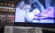 Mike Bayi Betina Owa Jawa yang Stres di Kandang, Kini Relatif Tenang Usai Diberikan Teman Boneka Beruang