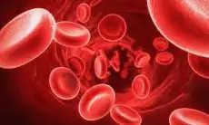 Pemprov Jabar- Nutrisi Internasional Konsisten Cegah Anemia 
