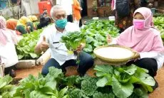 Kota Bandung Siap Hadapi Krisis Pangan dan Resesi dengan Buruan Sae di Pekarangan Rumah