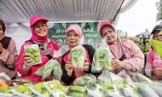 Tekan Inflansi, DKPP Gelar Pangan Murah