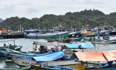 Wajah Indonesia dengan Akulturasi Budaya Nelayan di Pelabuhan Sendang Baru Malang