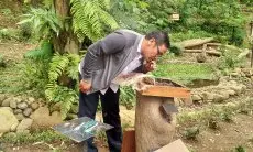 Gunung Puntang Bandung Punya Edukasi Lebah Madu, Penggeraknya Karang Taruna Kecamatan Cimaung