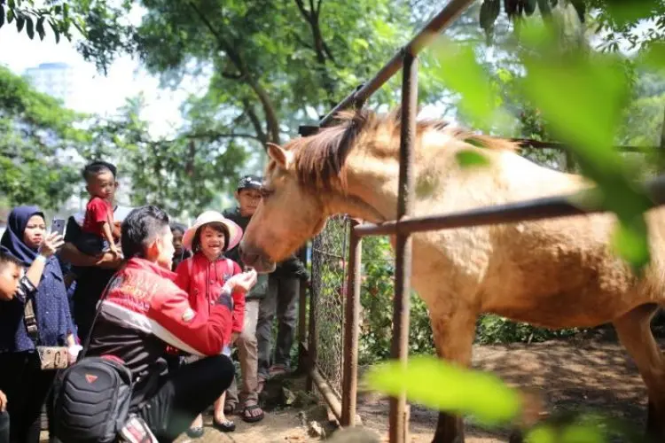 Satwa Bandung Zoo Tetap Dirawat Meski Pengelolaan Belum Pasti