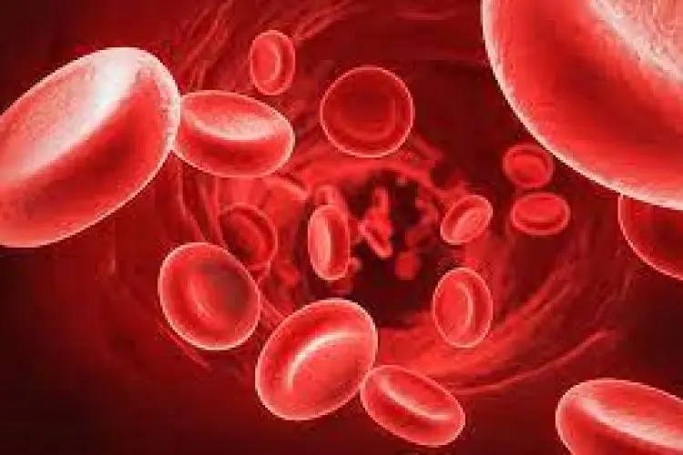 Pemprov Jabar- Nutrisi Internasional Konsisten Cegah Anemia 