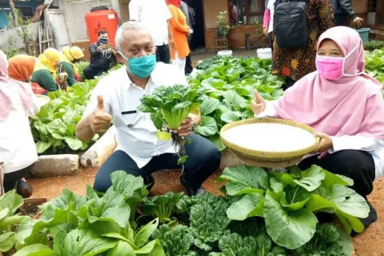 Kota Bandung Siap Hadapi Krisis Pangan dan Resesi dengan Buruan Sae di Pekarangan Rumah