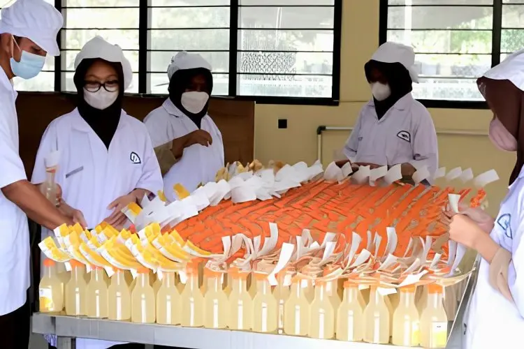 Nikmat dan Segarnya Olahan Lemon California SMKN 1 Cibadak Diburu Pelaku UMKM Untuk Dijual Kembali