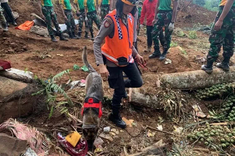Anjing Pelacak Temukan Titik Diduga Korban Tertimbun Longsor Cianjur