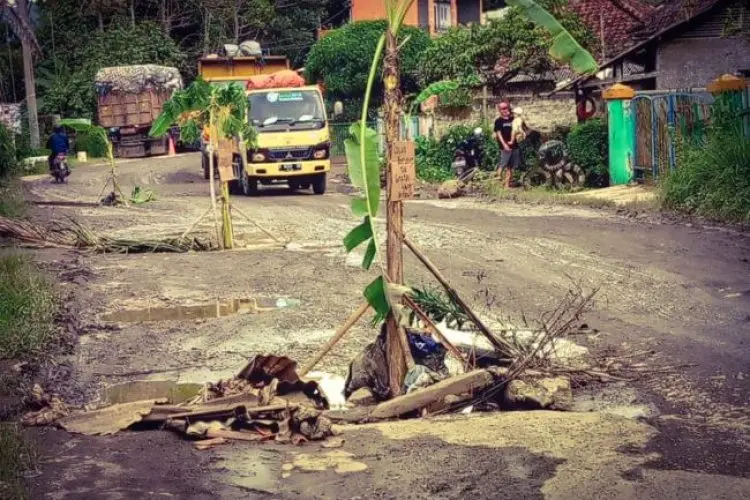 Jalan Rusak di Cipatat Tak Kunjung Diperbaiki, Warga Cipatat Inisiatif Tanam Pohon Pisang di Tengah Jalan