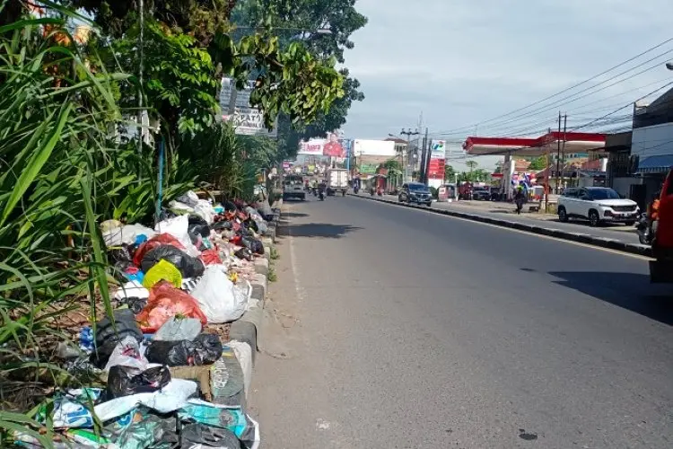 Sampah Liar Kian Menjamur, DLH KBB Akui Cukup Kewalahan 