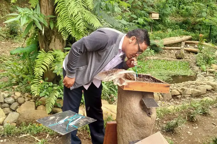 Gunung Puntang Bandung Punya Edukasi Lebah Madu, Penggeraknya Karang Taruna Kecamatan Cimaung