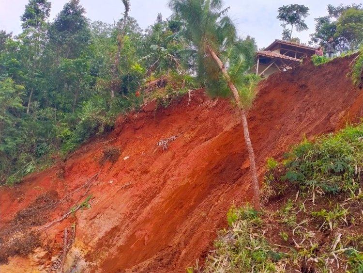 Lahan Pertanian dan Perikanan Warga di Gununghalu Bandung Barat Diterjang Longsoran Tebing