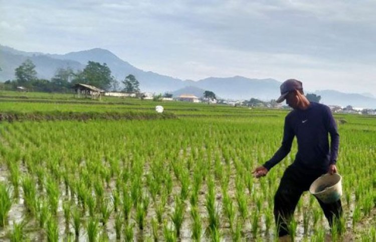 Distan Kabupaten Cirebon Dorong Petani Terapkan Pola Pertanian Ramah Lingkungan