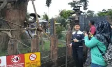 H+1 Libur Natal, Kunjungan di Objek Wisata Lembang Park and Zoo Meningkat hingga 70 Persen