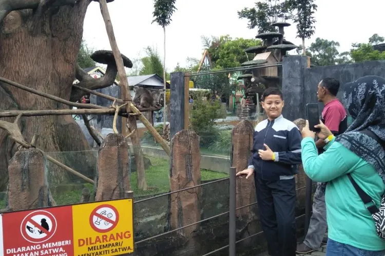 H+1 Libur Natal, Kunjungan di Objek Wisata Lembang Park and Zoo Meningkat hingga 70 Persen