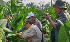 APTI Bandung Sambut Gembira Kenaikan 10 % Cukai Tembakau