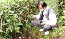 Kebun Teh Diduga Tempat Mesum, Ini Harapan Plt Bupati Bogor kepada Pemilik Lahan