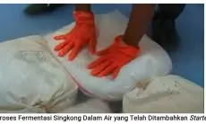 Dorong UMKM Manfaatkan Potensi Bahan Baku Lokal, LPPM ITB Berikan Panduan Pembuatan Starter Mocaf