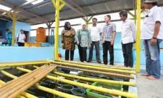 Tinggi Peminat, DPRD Jabar Dorong Pengembangan Anggur Laut