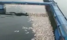 Antisipasi Kerugian Lantaran Kematian Ikan Massal, Peternak KJA Waduk Saguling Kurangi Tebar Benih