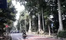 2023, Disperumkim Kota Bogor Targetkan 500 Pohon Miliki KTP