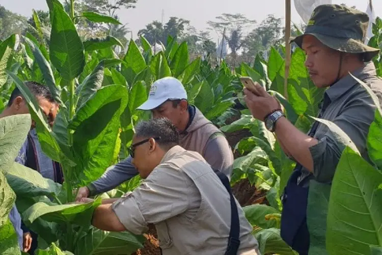 APTI Bandung Sambut Gembira Kenaikan 10 % Cukai Tembakau