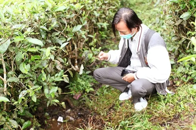 Tissue Magic dan Kondom Berserakan , PT Perkebunan Nusantara VIII  Gunung Mas Mengaku Kecolongan