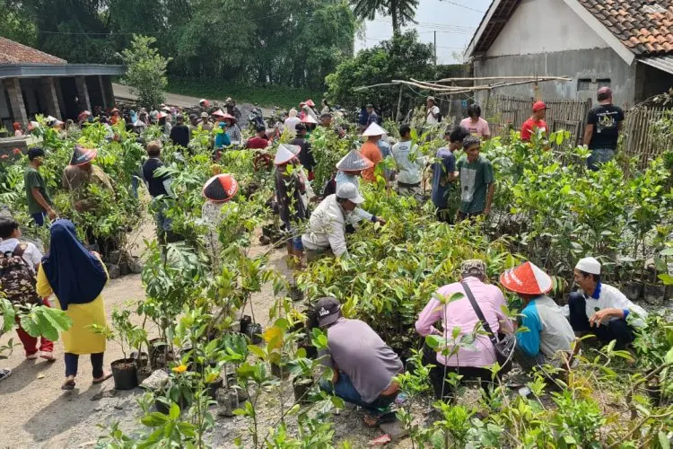 Petani Kabupaten Bandung Dapatkan Bantuan Bibit Buah untuk Pangan dan Konservasi