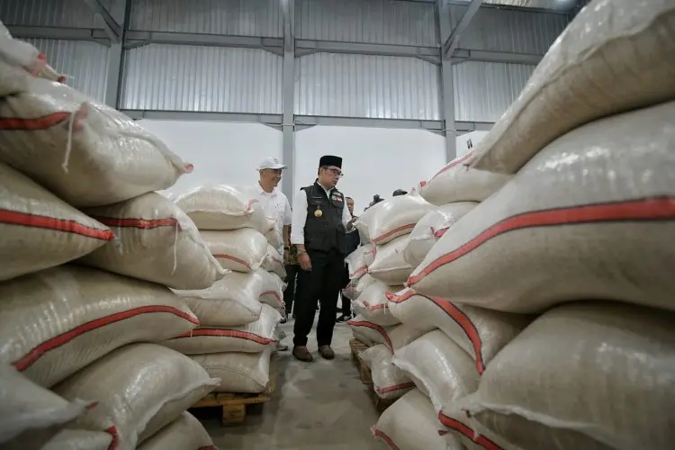 Usai Diresmikan, Bahan Pokok Ini Jadi Prioritas Sementara PDP
