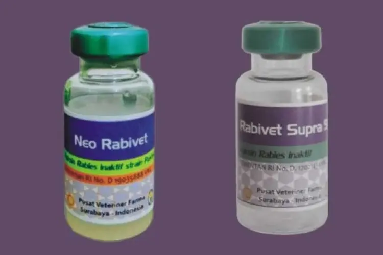 Minat Warga Meningkat, Dispangtan Kota Cimahi Tambah Dosis Vaksin Rabies dan Flu Burung 