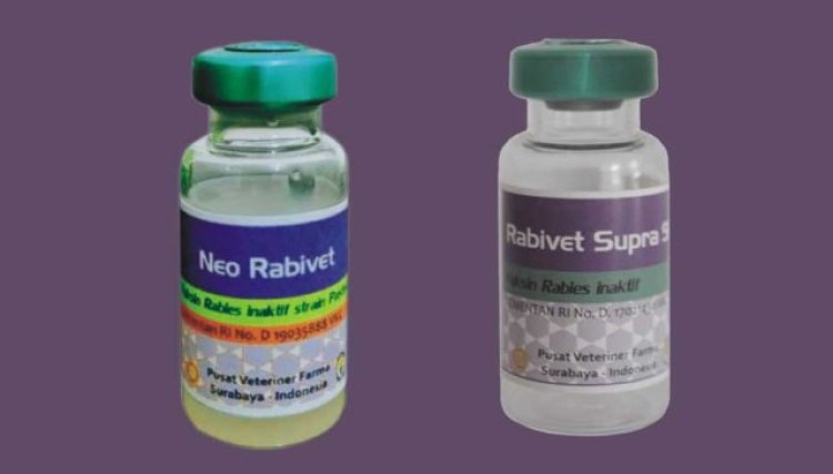Minat Warga Meningkat, Dispangtan Kota Cimahi Tambah Dosis Vaksin Rabies dan Flu Burung 