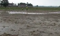 Ribuan Hektare Sawah Terendam Banjir, Distan Cirebon Sebut Kerugian Capai Puluhan Miliar Rupiah