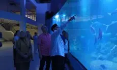 Tidak Pantai Melulu, Aquarium Indonesia Lengkapi Paket Wisata di Pangandaran