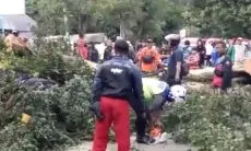Angin Kencang, BPBD Cianjur Ingatkan Pengendara Waspadai Pohon Tumbang