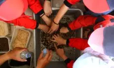 FOTO: Kunjungan Lapangan Siswa DHIS Primary Ke Sekolah Kang Pisman